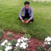 user24356841368005