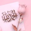235almas1