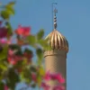 nawalhadi08