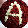 user154160863542