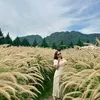 phng.thuy8876
