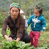 Single Mom Farm Harvest