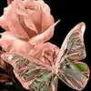 mariadocarmorosaa7