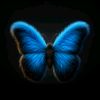 adele_767_