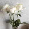 user6pb89o881o