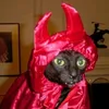 gatinhapreta92