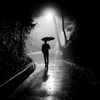 saif.mohammed818