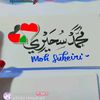 suher1613