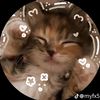 cloudy_alyaa