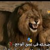 user9420209017936