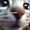 pawsandyap