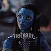 netyam._