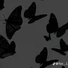 zozo_moh2