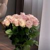 capricieuse318
