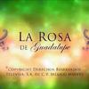 La_rosa