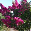 dldor.abdullaeva