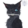 thenxvaverse