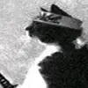 flokos63