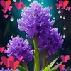 joman.ali30