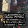 silva.silva8923