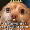 kinha.kilica