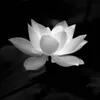 thenh_lytn01