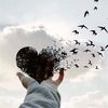 lucinda.mohammed8