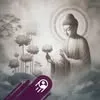 hoi.thu.nguyn96