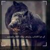 user59161177038117