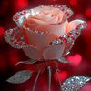 afnankhan128an