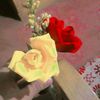 user4333788336148