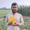 zafar.iqbalzafa