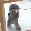 hethunoo