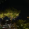 hoahong908
