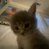 ulyana_pts