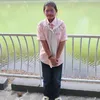 phnng8147