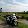 nofal.firdaus6