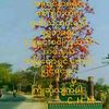 chit.oo6799
