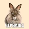 cherimsha_1488
