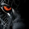 drakosha6769