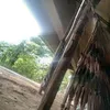 bui.phong044