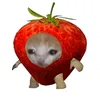 lilla_jxrdgubben