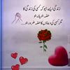 rashidkhan51202