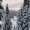 ionutserac1