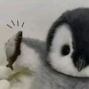 tralalelo0oo