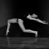 tallulah_trainor