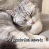 podcastclips.hhy7