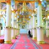 sadaqthussain25