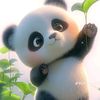 uwais6557