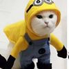 peekabo.ali
